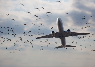 Пассажиры подали иск против авиакомпании United, не поверив в причину экстренной посадки