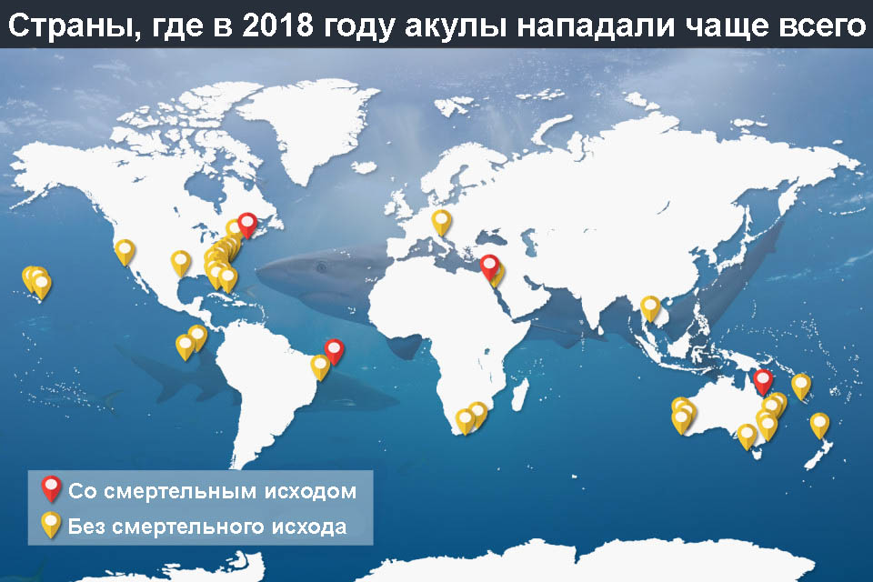 Карта нападения акул