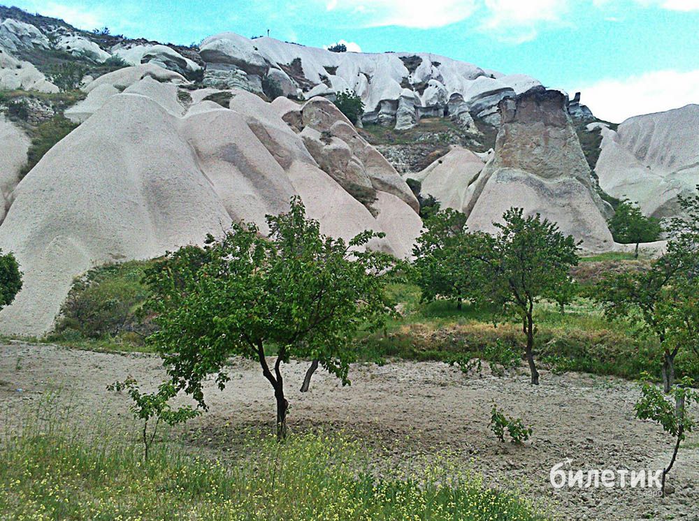 Valley white. Долина белых камней. Долина любви Боровое. Долина Белла. Долина белых камней в армии.